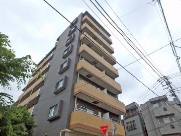 ＴＨＥ　ｇｒａｎｄｅ　ｒｅｇａｌｏ