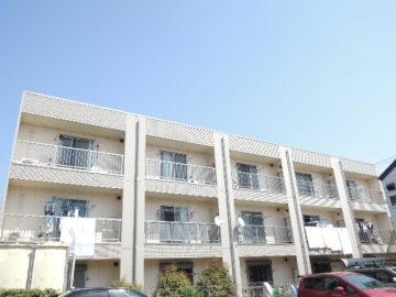 アンプルールフェール　YAHAGI