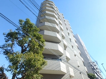 パーク・ノヴァ王子