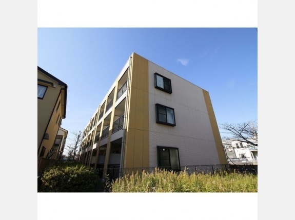 アンプルール フェール Surie 