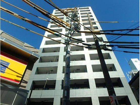 ガーラ・プレシャス川口並木