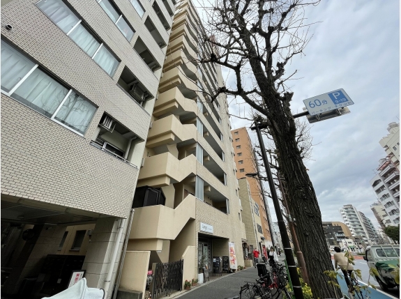 シャンボール白山