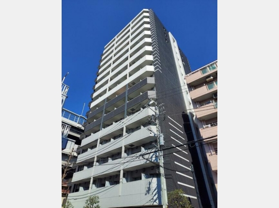 外観 メインステージ パーク大山