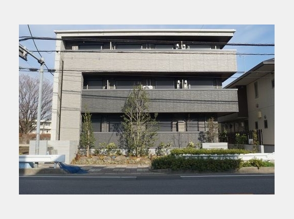 アミコート　マヤ