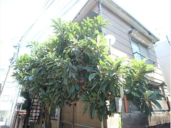 榎本荘