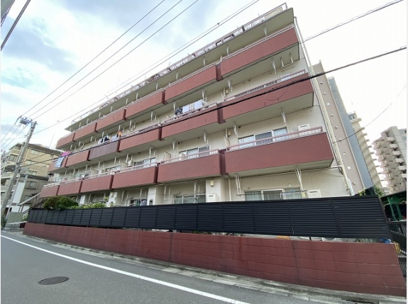 サンライズ蓮根