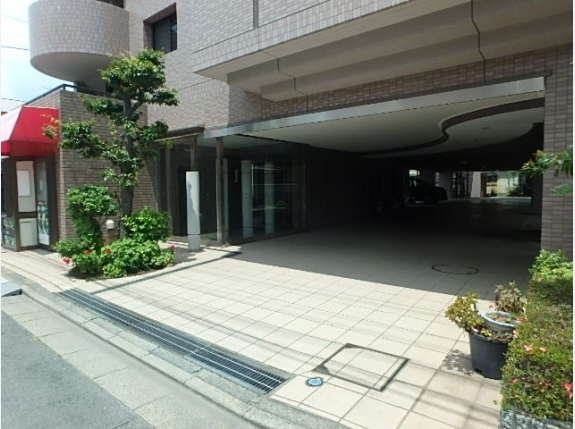 ルートホワイトⅡ