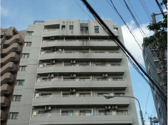 白山スカイビュー