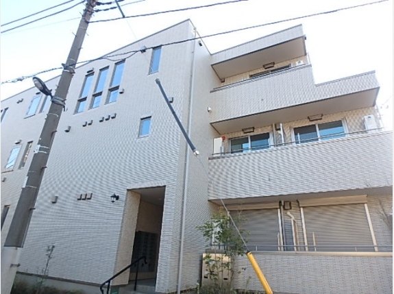 フィカーサ　いちょうの木
