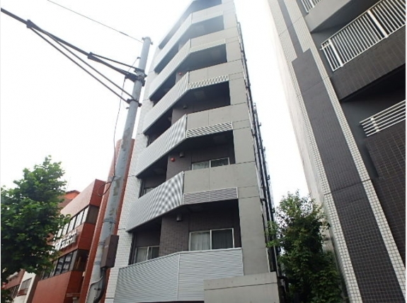 Ｅｓｔｅｔｉｃａ　ｎａｋａｉｔａｂａｓｈｉ