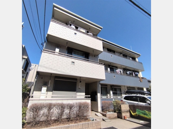 エバーグリーン