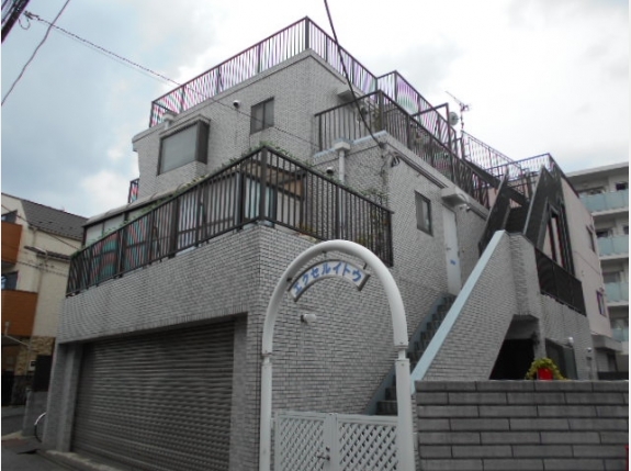 エクセルイトウ