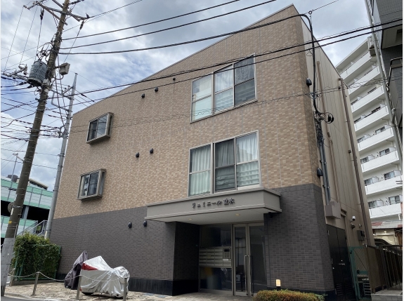 リュミエール並木