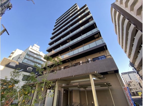 プレール・ドゥーク川口並木