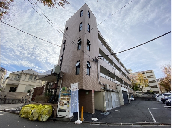 ニュークリスタル葵