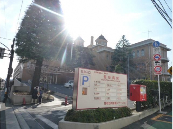 ドミール池袋立教通り