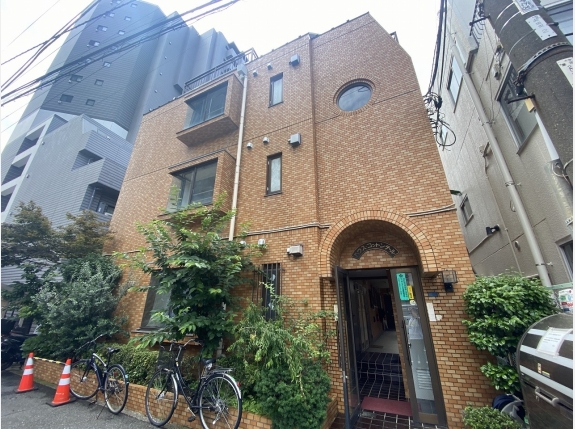 ハウスコットンテール