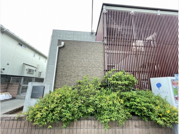 リブリ・スターフラワー