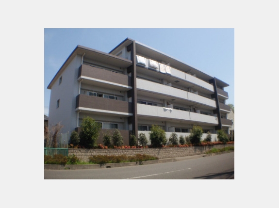 ドムス・ウィリデ