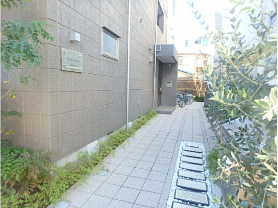 Tamy’s terrace
