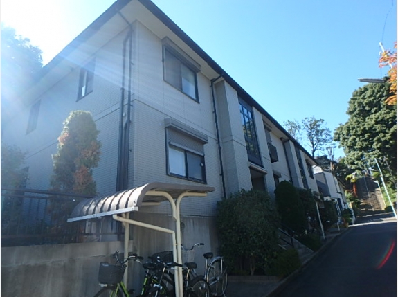 ステラパーク