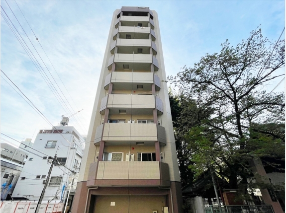 パティーナ上野