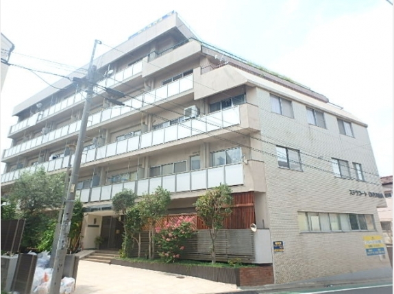 ステラ　コート　大山