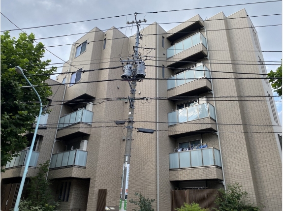 ワイズフォレスト