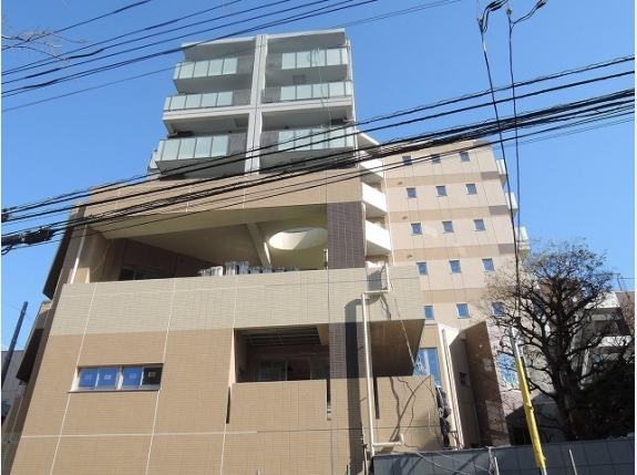 セルティスコート