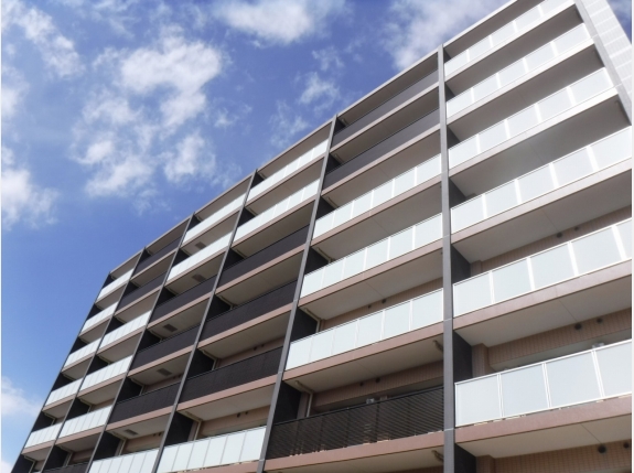 N-stage 赤羽志茂 