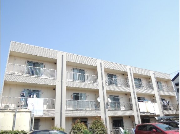 アンプルールフェール　YAHAGI