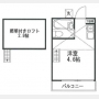 アレックス聖