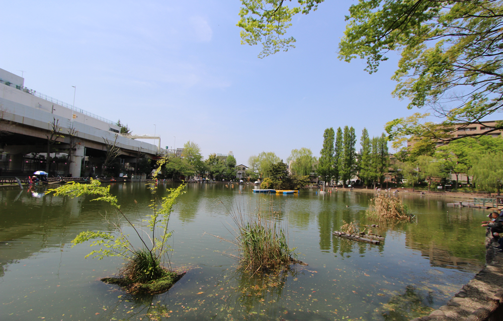 見次公園