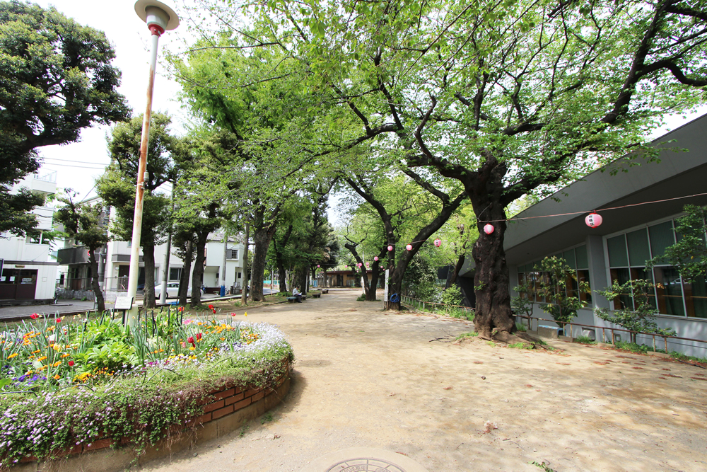 小豆沢公園