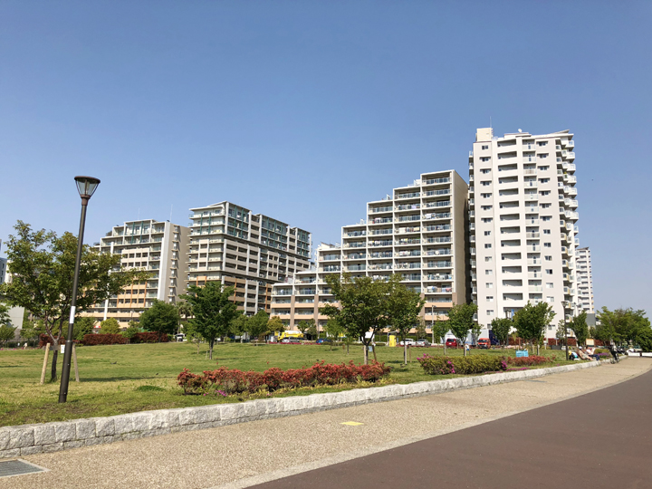 新田さくら公園の風景