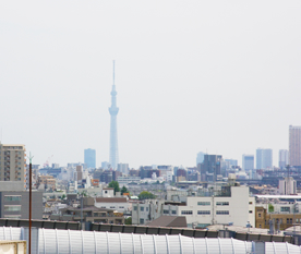 スカイツリーの見える風景