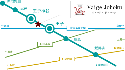 東京メトロ南北線アクセス路線図