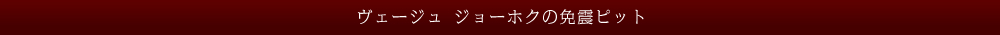 ヴェージュ ジョーホクの免震ピット