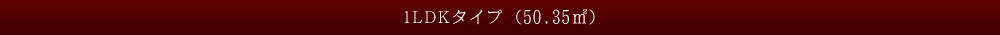 1LDKタイプ（50.35㎡）